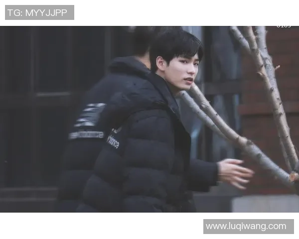 姚明明海报背后的故事与艺术魅力探索