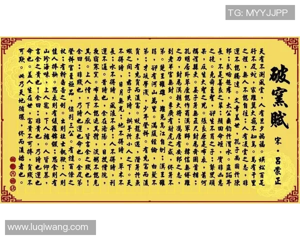 姚明龙的职业生涯与成就全景解析及其对篮球运动的影响